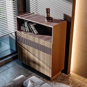 Living room bookshelf